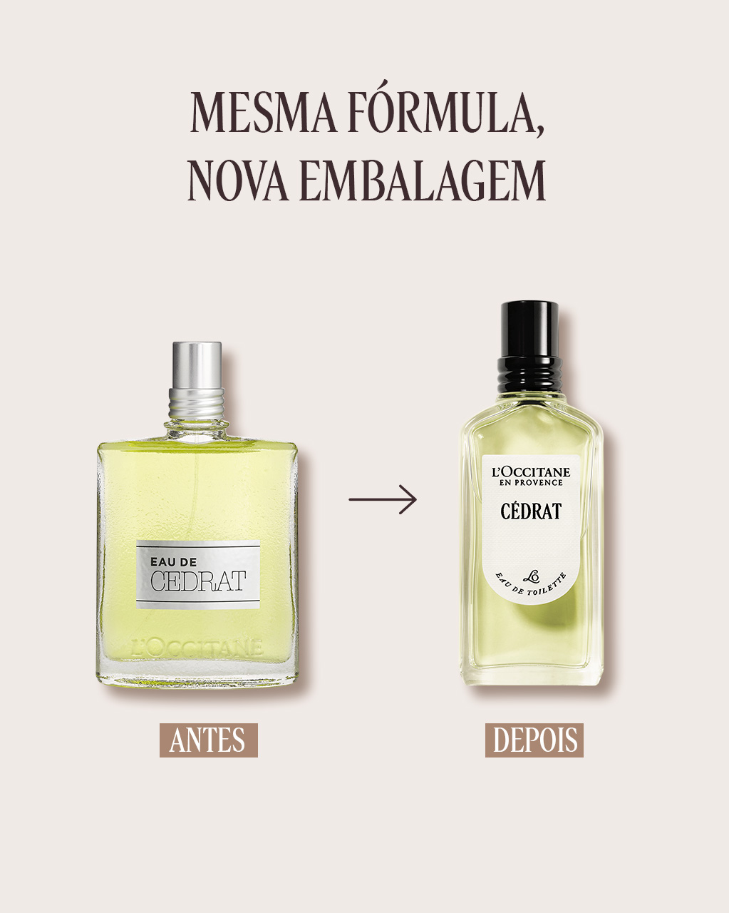 Eau de Toilette | L'Occitane en Provence